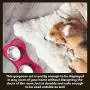 Iconic Pet Colour Splash Designer Bone Shape Fusion Pet Diner