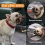 Fluffy Care Dog Toys Small Dogs Puppy Toys Squeaky Dog Toys Puppy Toys for Teething Small Dogs Cute Dog Toys Pet Toys Dog Toys for Medium Dogs 6 PCS Fluffy Care Dog Toys Small Dogs Puppy Toys Squeaky Dog Toys Puppy Toys for Teething Small Dogs Cute Dog Toys Pet Toys Dog Toys for Medium Dogs 6 PCS