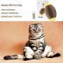 Cat Toys for Indoor Cats, Upgrade Catnip Kitten Toys for Cats, Cardboard Scratch Ball Refillable Catnip Toy Cat Tickle Toy Set with Catnip, Cat Interactive Toys for Kitten Scratching Playing