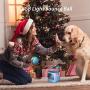 Mould King Wicked Toys Balls for Dogs andCats, 100% Automatic and Interactive Ball to Keep Your Dogs/Cats Company All Day, Your Pets Joy When Home Alone -NOT for Dog CHEWERS (Blue)