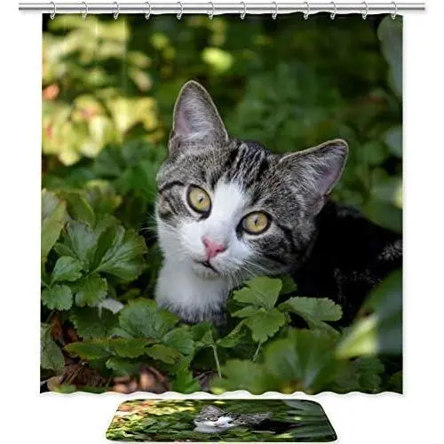 NOAON Waterproof Fabric Shower Curtain Set with Hooks and Mats Bathroom Bath Decor - Cat Mieze Pet Domestic Cat Animal Young Cat NOAON Waterproof Fabric Shower Curtain Set with Hooks and Mats Bathroom Bath Decor - Cat Mieze Pet Domestic Cat Animal Young Cat