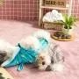 Barkbox Microfiber Dog Towel - Quick Drying Hooded Bathrobe for Bath and Beach Trips | Luxurious and Soft Dog Bathrobe/Towel for All Breeds | Premium Quality Microfiber Pet Towel for Dogs & Cats Barkbox Microfiber Dog Towel - Quick Drying Hooded Bathrobe for Bath and Beach Trips | Luxurious and Soft Dog Bathrobe/Towel for All Breeds | Premium Quality Microfiber Pet Towel for Dogs & Cats