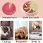 kathson Dog Feeder Slow Eating Pet Bowl Eco-Friendly Durable Non-Toxic Preventing Choking Healthy Design Bowl Anti-Gulping Pet Slower Food for Dog Pet Slow Feeder