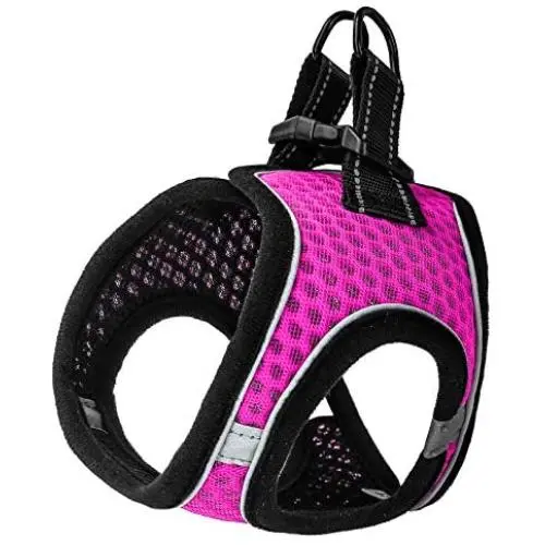 PAWDAY Dog Harness Step-in Air Pet Harness All Weather Soft Touch Mesh Vest Harness No Pull & No Choke and Escapeproof Dog Vest for Puppies, Small Medium Dogs and Large Cats PAWDAY Dog Harness Step-in Air Pet Harness All Weather Soft Touch Mesh Vest Harness No Pull & No Choke and Escapeproof Dog Vest for Puppies, Small Medium Dogs and Large Cats