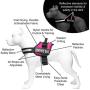Industrial Puppy Service Dog Vest with Hook and Loop Straps & Matching Service Dog Leash Set - Harnesses from XXS to XXL - Service Dog Harness Features Reflective Patch and Comfortable Mesh Design