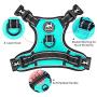 PoyPet 2019 Upgraded No Pull Dog Harness with 4 Snap Buckles, Reflective with Front & Back 2 Leash Hooks and an Easy Control Handle [NO Need Go Over Dog’s Head]