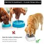 Didog Dog Water Bowls No-Spill Pet Slow Feeder Drink Bowls, Splash Proof & Vehicle Carried Travel Water Bowls, BPA Free Material, 35oz (1L) Drinking for Dogs & Cats