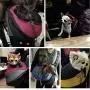 TNZMART Pet Dog Sling Carrier Hands Free Dog Portable Sling Bag Breathable Mesh Travel Safe Sling Bag Carrier for Small Dogs Cats
