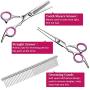 BRAINYS Professional Dog Grooming Scissors Kit, Japanese Craftsmanship Heavy Duty 6 in1 Set- Genuine Superior 4CR Stainless Steel with Safety Tips