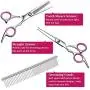 BRAINYS Professional Dog Grooming Scissors Kit, Japanese Craftsmanship Heavy Duty 6 in1 Set- Genuine Superior 4CR Stainless Steel with Safety Tips BRAINYS Professional Dog Grooming Scissors Kit, Japanese Craftsmanship Heavy Duty 6 in1 Set- Genuine Superior 4CR Stainless Steel with Safety Tips