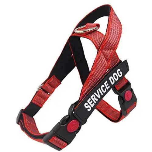 Dihapet Service Dog Vest Harness with Handle, Lightweight Full Adjustable Dog Vest, Neoprene Padded Soft for Summer Outdoor Walk Training Dihapet Service Dog Vest Harness with Handle, Lightweight Full Adjustable Dog Vest, Neoprene Padded Soft for Summer Outdoor Walk Training