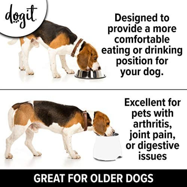 Elevated Dog Bowls Better Older Dogs