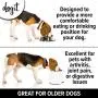 Dogit Elevated Dog Bowl, Stainless Steel Dog Food and Water Bowl for Dogs Dogit Elevated Dog Bowl, Stainless Steel Dog Food and Water Bowl for Dogs