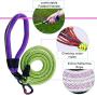 ThinkPet Upgraded Comfortable Dog Harness - Full Adjustable Reflective Vest Harness with Control Handle, Neoprene Padded Dog Vest, Unique Design Outdoor Nylon Harness