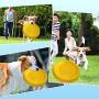 Pet Toys Bite-Resistant Belt Rope Molar Ball Horse Dog Golden Retriever Dog Training Dog Ring Training Dog Bowl Dual-Purpose Floating Frisbee