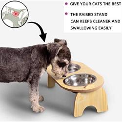 Elevated Double Cat Dog Bowls, Pet Food Water Bowl with 15°Tilted Raised, Pet Feeding Stainless Steel Bowl for Cats and Dogs- Include 2 Stainless Steel Bowls,Improve Digestion