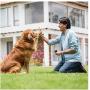 Pets et Us Anti Barking Device to Stop Dog Barking, Dog Trainer & Control Effective Range of 16.4 Ft, Safe for Pets Indoors and Outdoors