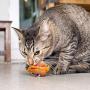 Pet Craft Supply Silly Snacks and Funny Food Crinkle Cuddling Catnip and Silvervine Toys - Interactive Cat Toys Alternative to Mice Fish Feathers Cat Toy