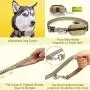 WINSEE 5 in 1 Hands Free Dog Leash Set 4pcs for Walking, Retractable Running Leash/Pet Collar/Poop Bag Holder & Adjustable Waist Belt, Reflective, Dual Padded Handles,for Training, Driving,or Jogging