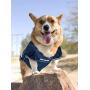 NFL Pet Jersey
