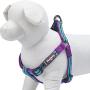 Blueberry Pet 5 Colors Step-in 3M Reflective Multi-Colored Stripe Padded Dog Harnesses