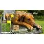 Dog Rocks - 100% Natural Grass Burn Prevention - Prevents Lawn Urine Stains - Three Small Bags - 6 Month Supply Dog Rocks - 100% Natural Grass Burn Prevention - Prevents Lawn Urine Stains - Three Small Bags - 6 Month Supply