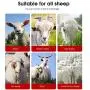 1000W Electric Animal Shears - 6 Speed Shearing Machine for Sheep, Lamb, Goat, Llama, Alpaca & Livestock Grooming, Complete Wool Clipper Kit - Heavy Duty Professional Trimmer 1000W Electric Animal Shears - 6 Speed Shearing Machine for Sheep, Lamb, Goat, Llama, Alpaca & Livestock Grooming, Complete Wool Clipper Kit - Heavy Duty Professional Trimmer