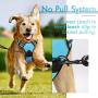 rabbitgoo Dog Harness, No-Pull Pet Harness with 2 Leash Clips, Adjustable Soft Padded Dog Vest, Reflective No-Choke Pet Oxford Vest with Easy Control Handle for Large Dogs, Blue (L, Chest 20.5-36'')