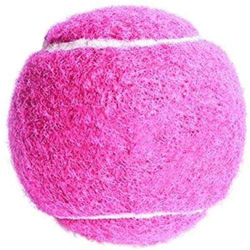 Anixl 2 Colours Squeaky Bite-Resistant Molar Ball Toys for Dog