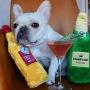 ZippyPaws - Happy Hour Crusherz Water Bottle Dog Toy - No Stuffing, Crunchy - Brewery Collection