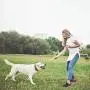 HOMLORY LED Ultrasonic Dog Repeller, Rechargeable Dog Barking Control Devices Dog Trainer and Cat Toys Interactive 4 in 1 Anti Barking Stop Bark Handheld Dog Training Device HOMLORY LED Ultrasonic Dog Repeller, Rechargeable Dog Barking Control Devices Dog Trainer and Cat Toys Interactive 4 in 1 Anti Barking Stop Bark Handheld Dog Training Device
