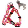 azuza No Pull Dog Harness, Basic Step in Puppy Harness, Adjustable Harness for Small and Medium Dogs with Cute Patterns in Bright Color