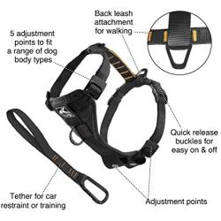 Kurgo Tru-Fit Smart Harness, Dog Harness, Pet Walking Harness, Quick Release Buckles, Front D-Ring for No Pull Training, Includes Dog Seat Belt Tether, For Small, Medium, & Large Dogs.