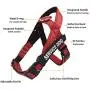Dihapet Service Dog Vest Harness with Handle, Lightweight Full Adjustable Dog Vest, Neoprene Padded Soft for Summer Outdoor Walk Training Dihapet Service Dog Vest Harness with Handle, Lightweight Full Adjustable Dog Vest, Neoprene Padded Soft for Summer Outdoor Walk Training