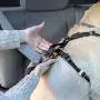 Kurgo Dog Harness/Car Harness for Dogs