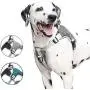 DUDUPE No Pull Dog Harness Reflective Adjustable Vest, Soft Mesh Padded Pet Vest for Walking Training Running, Suitable for Small Medium Large Dog [Easy to Put on & Take Off]
