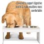 PetFusion Elevated Dog Bowls, Cat Bowls (4'', 8'' Tall Options). Bamboo w/Water Resistant Seal. US Food Grade Stainless Steel Raised Bowls