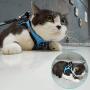 Petopt Comfort Dog Harness Vest,Soft Double Padded Vest for Dog and Cat