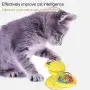 N/A Turntable Pet Toy Cat Turntable Funny Cat Toy Scratch Scratching (Green) (Color : Green) N/A Turntable Pet Toy Cat Turntable Funny Cat Toy Scratch Scratching (Green) (Color : Green)