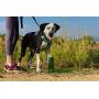 OllyDog OllyBottle and Crumple Food Bowl Combo, Travel-Friendly, Portable Dog BPA Free Water Bottle and Collapsible, Foldable, Expandable Bowl for Dog Food and Treats, for Big Hikes or Long Trips