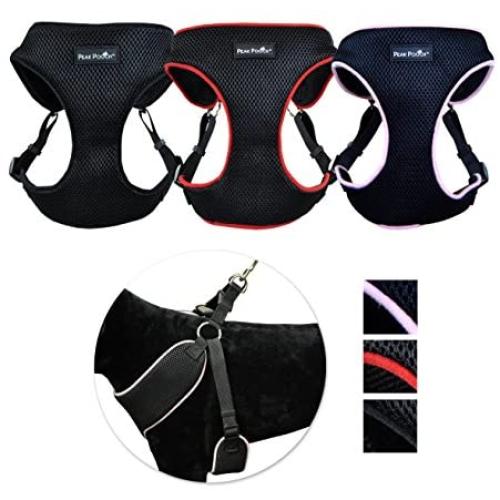 Peak Pooch No Pull Padded Comfort Mesh Dog Walking Harness for Small and Medium Dogs