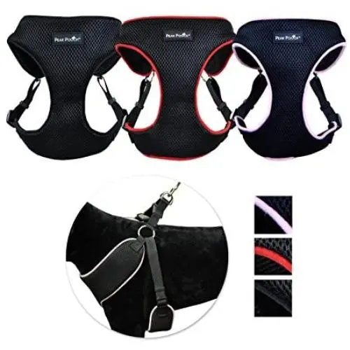 Peak Pooch No Pull Padded Comfort Mesh Dog Walking Harness for Small and Medium Dogs Peak Pooch No Pull Padded Comfort Mesh Dog Walking Harness for Small and Medium Dogs