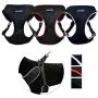 Peak Pooch No Pull Padded Comfort Mesh Dog Walking Harness for Small and Medium Dogs Peak Pooch No Pull Padded Comfort Mesh Dog Walking Harness for Small and Medium Dogs