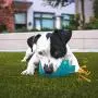 Lorfancy Dog Squeaky Chew Toys for Aggressive Chewers Large Breed Pig Interactive Rubber Funny Cute Soft Food Grade Medium Small Pet Puppy Toy Lorfancy Dog Squeaky Chew Toys for Aggressive Chewers Large Breed Pig Interactive Rubber Funny Cute Soft Food Grade Medium Small Pet Puppy Toy
