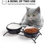Y YHY Cat Food Bowls, Raised Cat Bowls for Food and Water, Ceramic Cat Bowls Elevated, Cat Dishes for Cat or Small Dogs,12 Ounces, Cute Cat Design, Dishwasher Safe