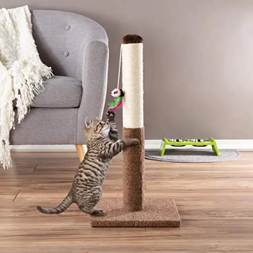 PETMAKER Cat Scratching Post - Tall Scratcher for Cats and Kittens with Sisal Rope and Carpet, Hanging Mouse Toy for Interactive Play (24.5 Inch) PETMAKER Cat Scratching Post - Tall Scratcher for Cats and Kittens with Sisal Rope and Carpet, Hanging Mouse Toy for Interactive Play (24.5 Inch)