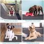 SlowTon Washable Dog Pee Pad, 2 Pack Reusable Waterproof Doggy Cats Potty Mat Super Fast Absorbent Comfortable Unscented No Leak Slip Housebreaking Training Whelping Travel Mat (L, 2 Pack)