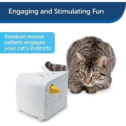 PetSafe Electronic Cat Toys, Automatic Cheese and Peek-A-Bird, Hide and Seek Teaser Toy, Interactive Ambush Bird and Mouse Hunt, Motion Activated Fun for Kittens