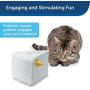 PetSafe Electronic Cat Toys, Automatic Cheese and Peek-A-Bird, Hide and Seek Teaser Toy, Interactive Ambush Bird and Mouse Hunt, Motion Activated Fun for Kittens