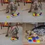 Pawesome Puzzle SpinnSlide Dog Toy